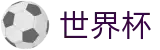 2026国际足联世界杯注册与登录入口 · 品牌官方指定中文服务窗口